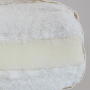 Comfy futonmadrass budget i valfri storlek