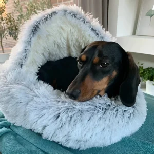 WarmPaws - 2-i-1 Varm Och Mysig Rund Bädd För Små Hundar Och Katter